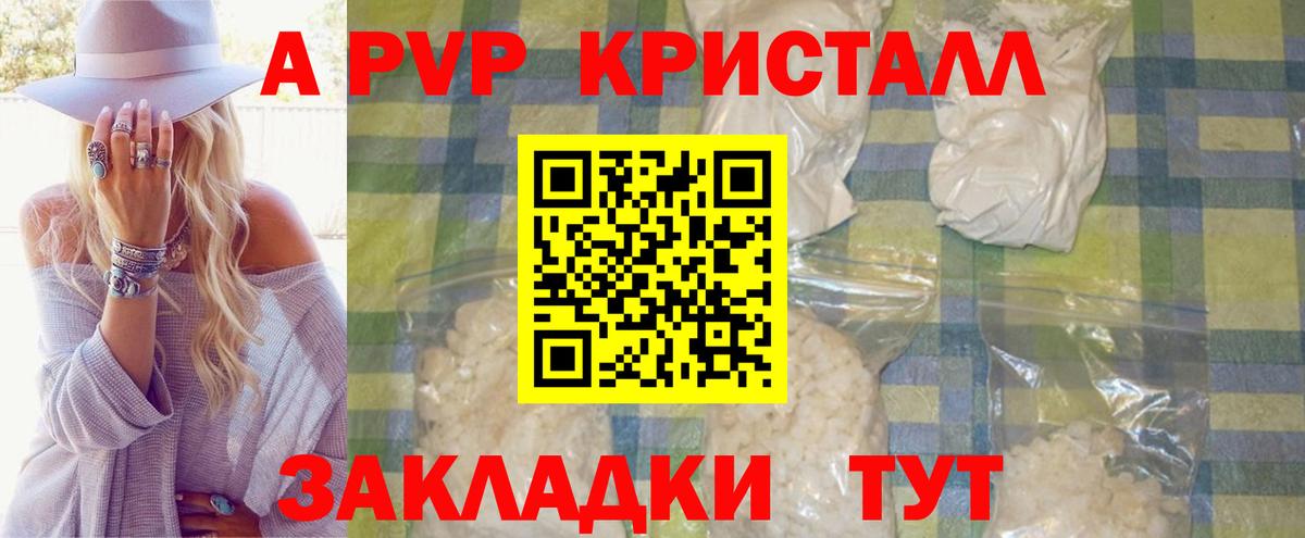 A PVP СК КРИС Казань